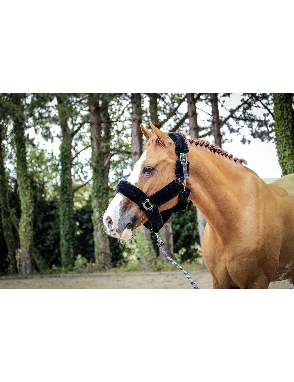 Soft One Halter