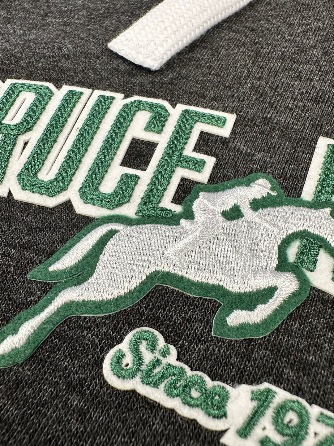 Spruce Meadows Youth Hoodie