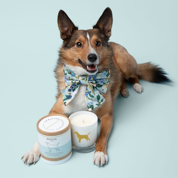 Rescue Candle