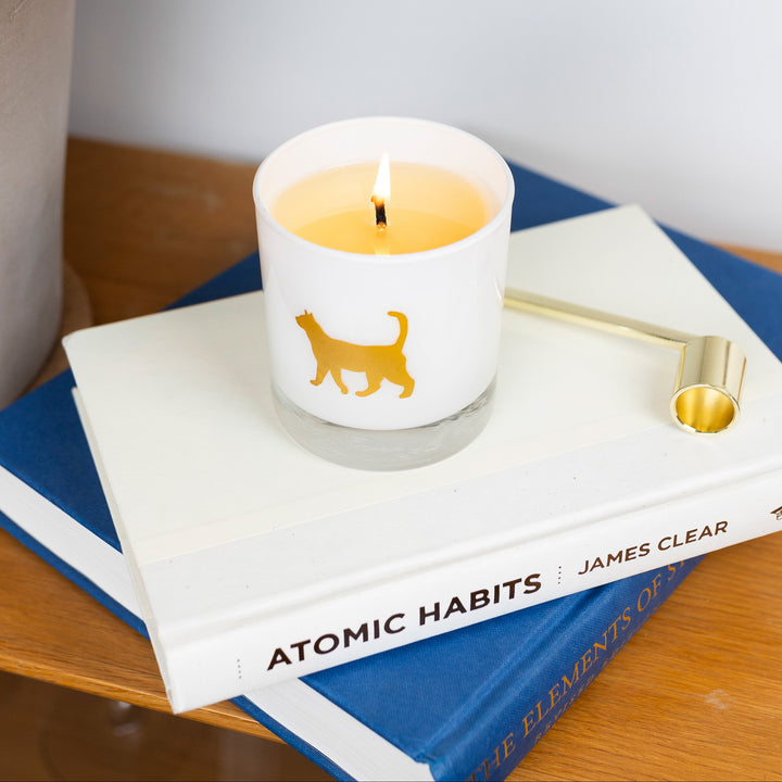 Cat Candle