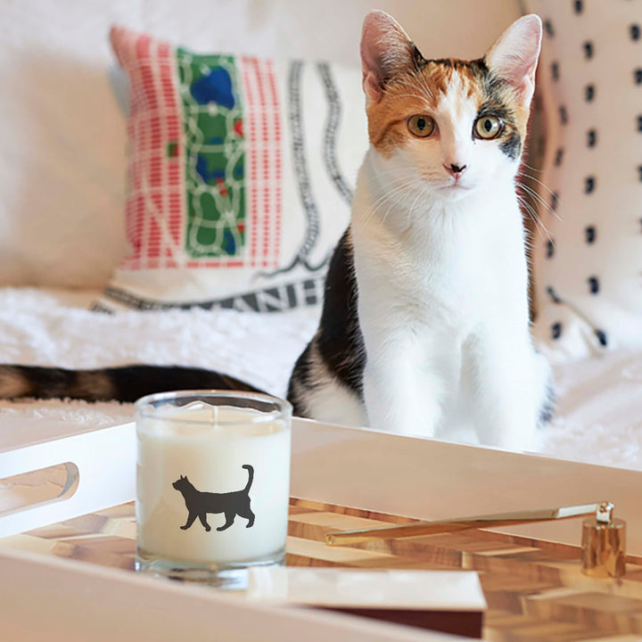 Cat Candle