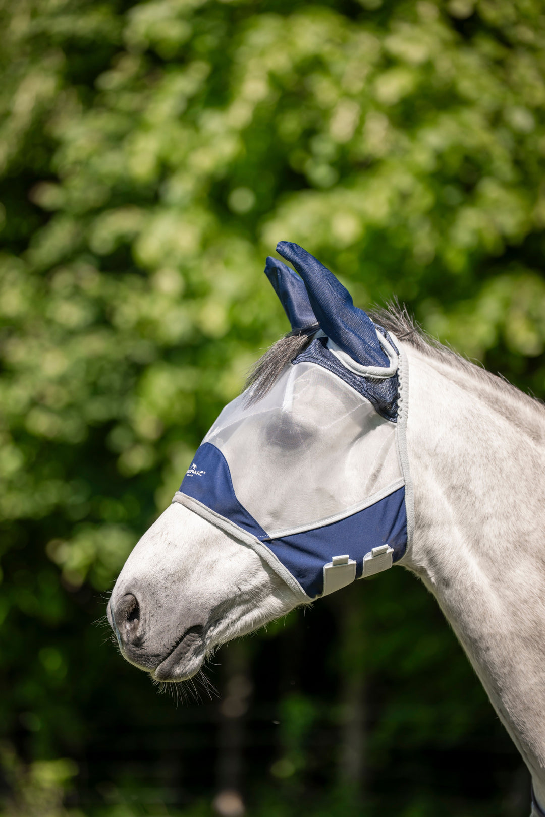 Shield Flymask