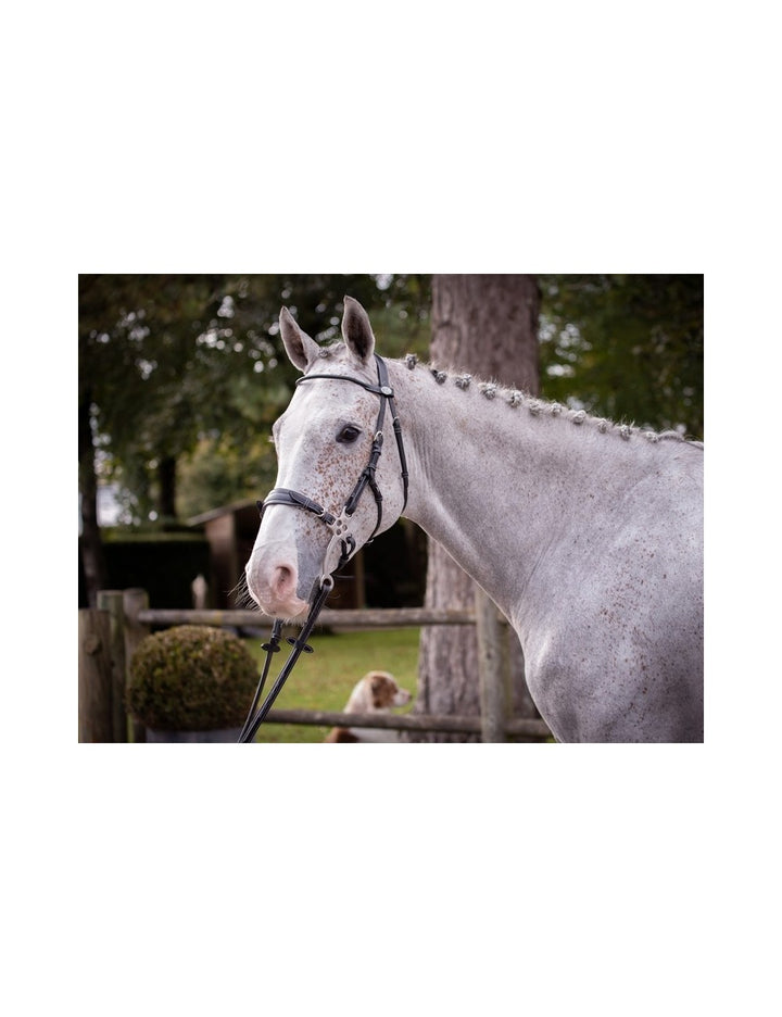 Hackamore Bridle - Week Collection