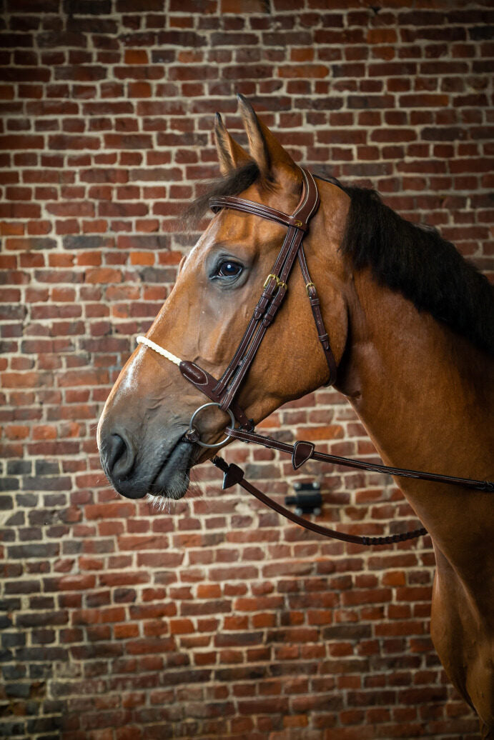 Rope Noseband Bridle - D Collection