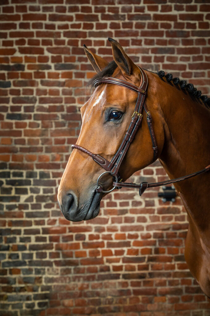 Leather Covered Rope Noseband Bridle - D Collection