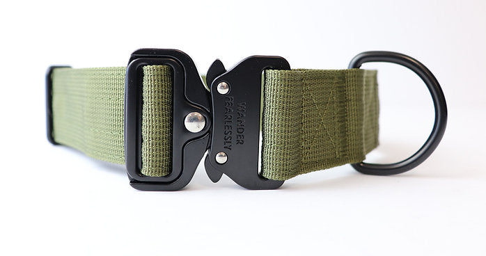 Expedition Collar