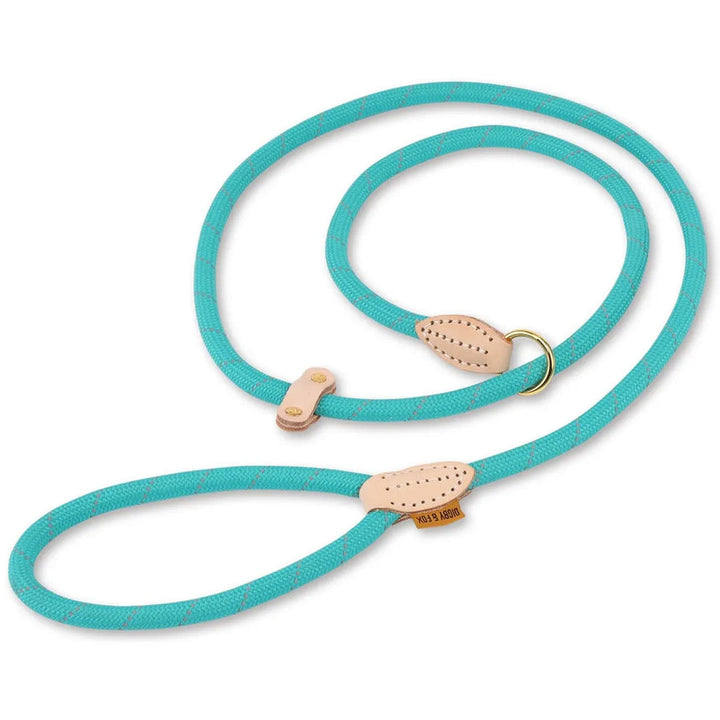 Digby &amp; Fox Reflective Slip Dog Lead