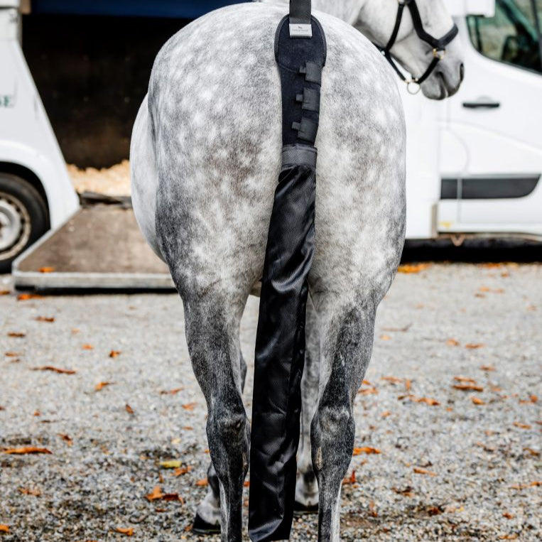 Tail Guard and Bag