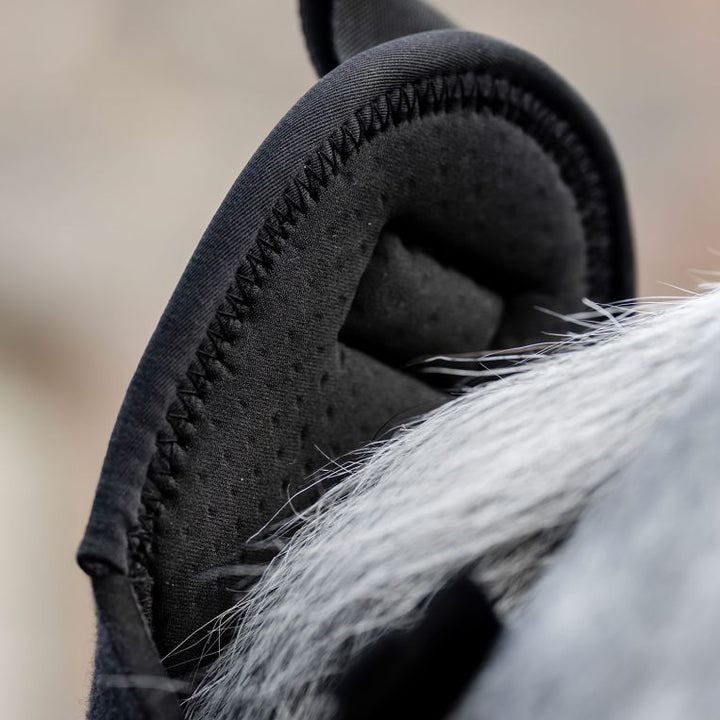 Tail Guard and Bag