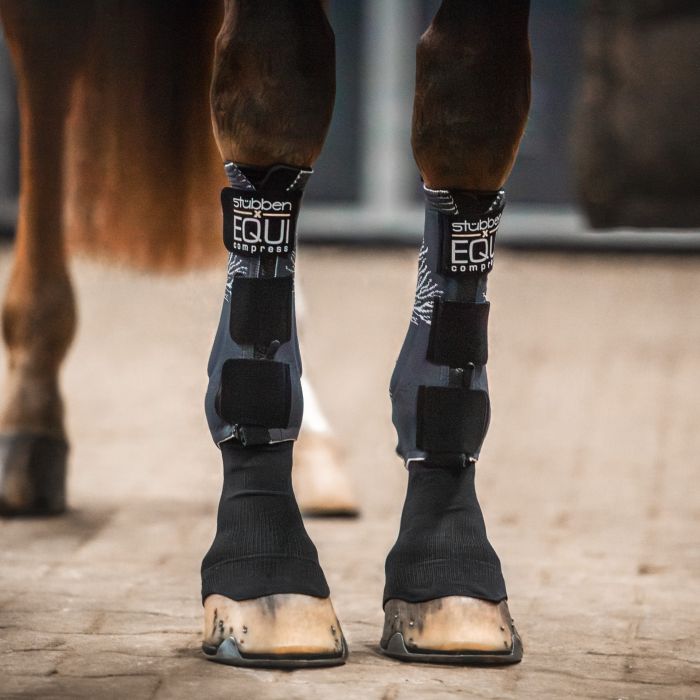 EQUI Compress Set, Front legs