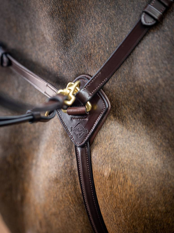 Breastplate D-Ring Attachment