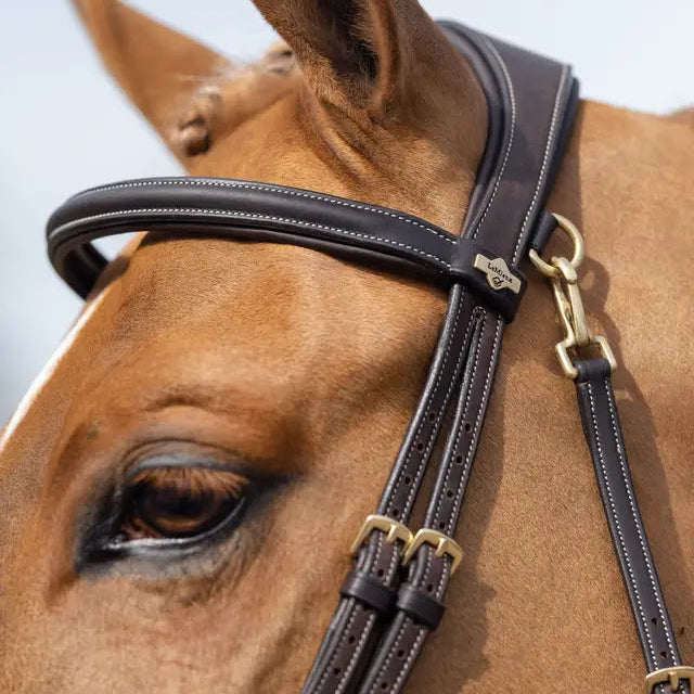 Kudos Work Bridle
