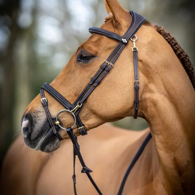 Kudos Work Bridle