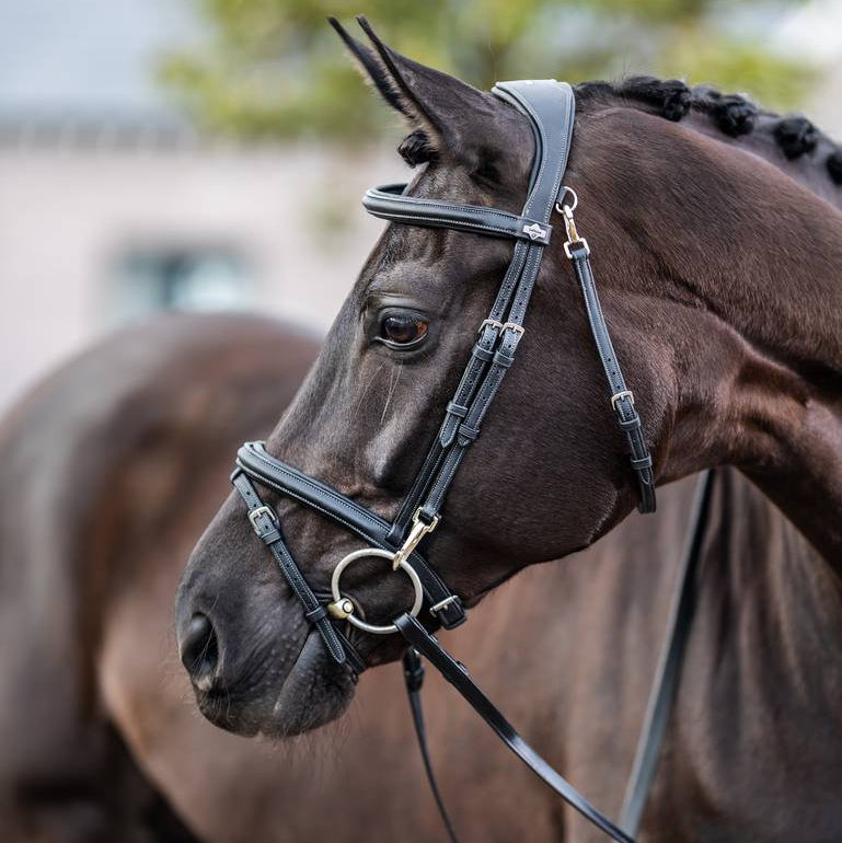 Kudos Work Bridle