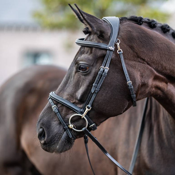 Kudos Work Bridle