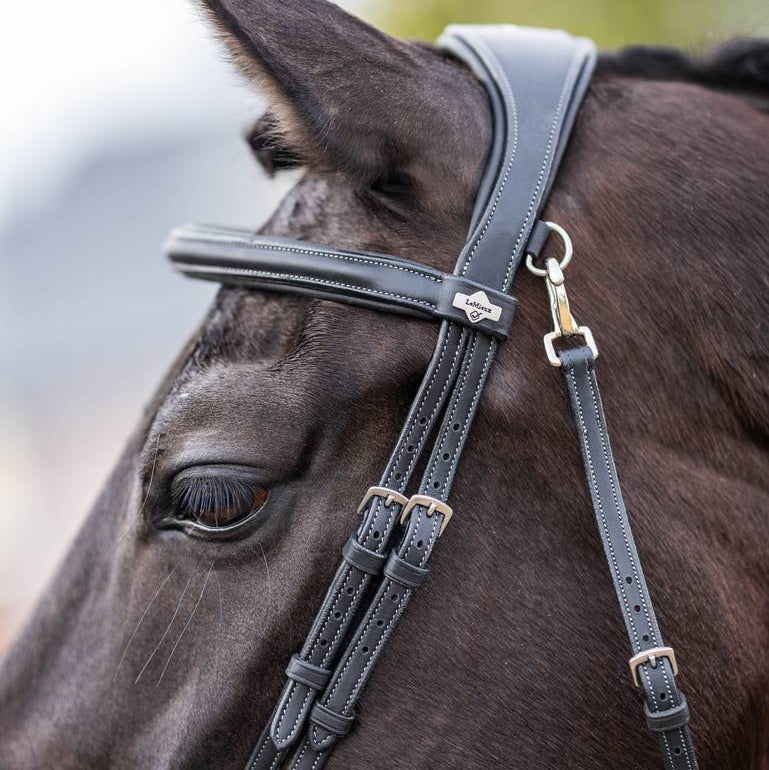 Kudos Work Bridle
