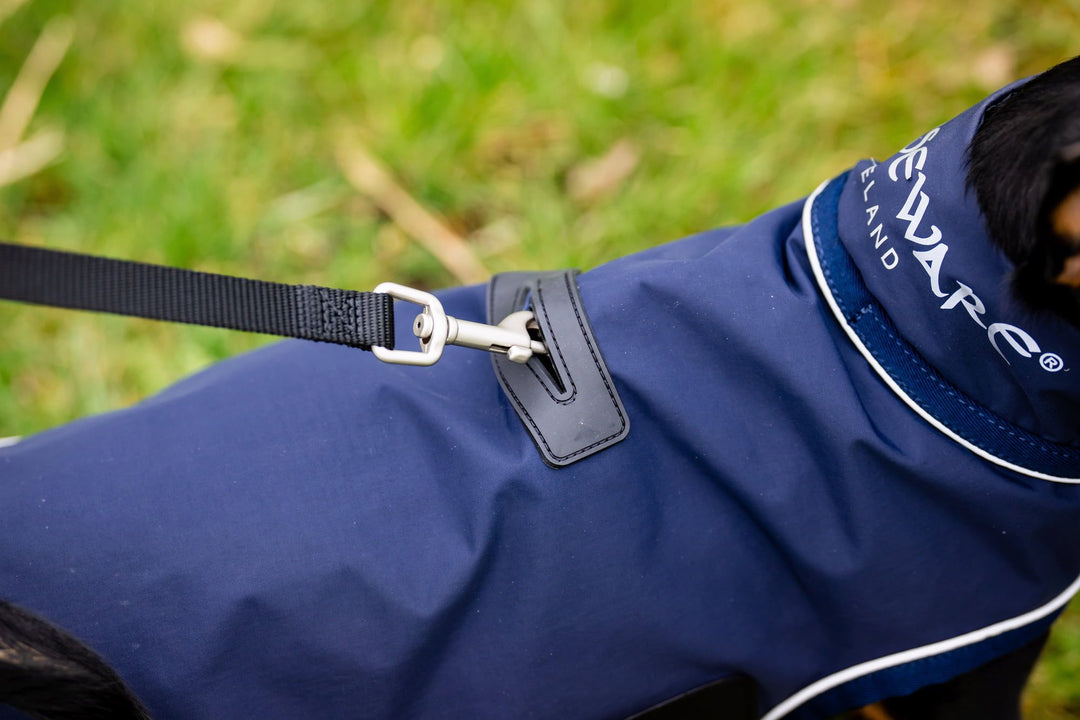 Signature Dog Rain Coat