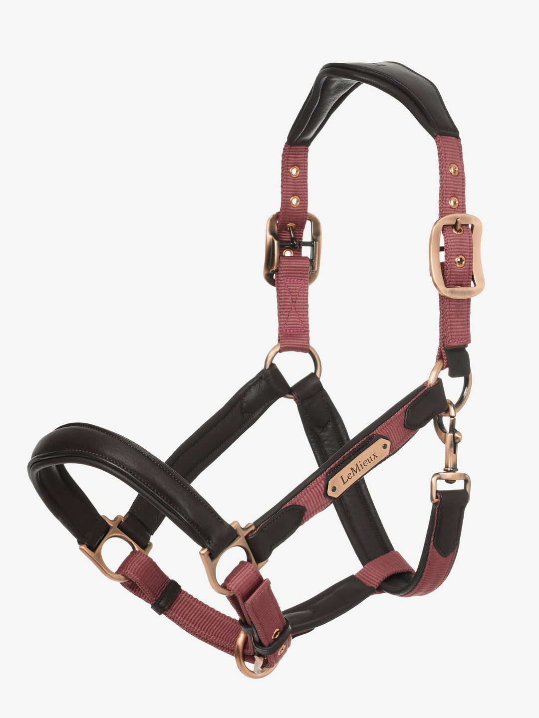 Capella Headcollar