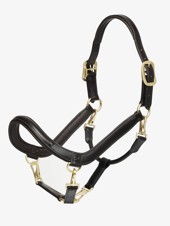 Leather Grooming Halter