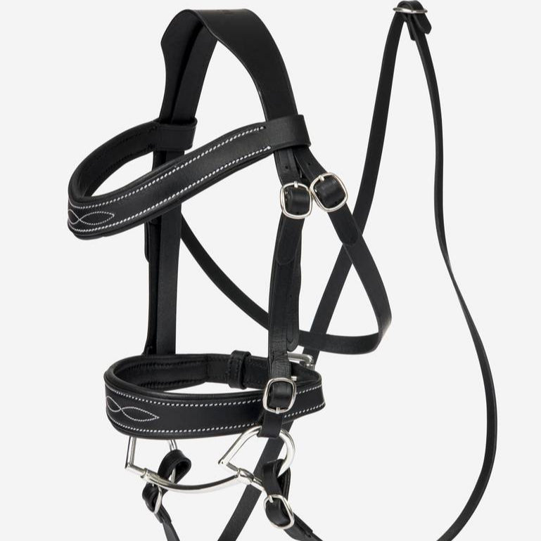 Hobby Horse Competition Bridle