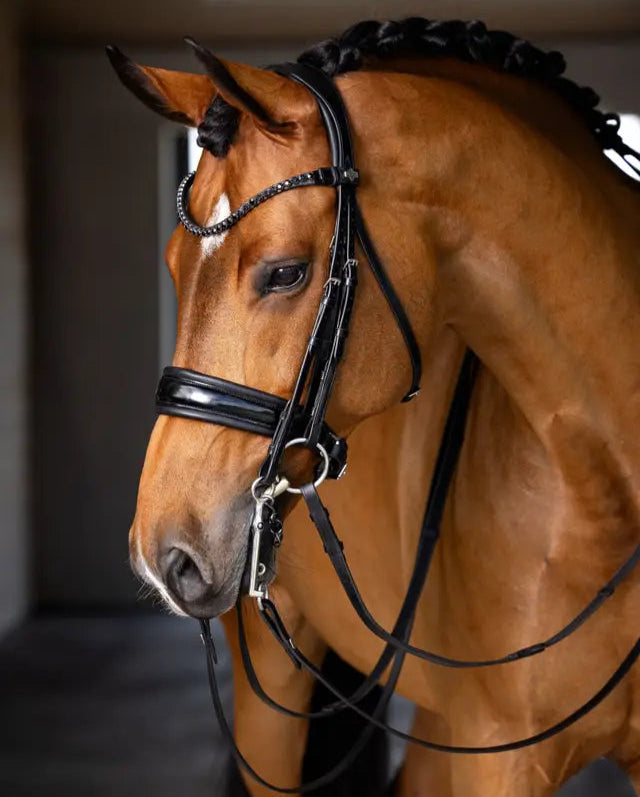 Kudos Double Bridle