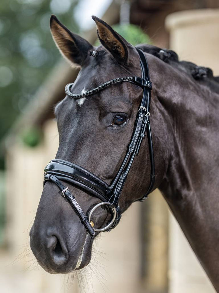 Kudos Patent Dressage Bridle