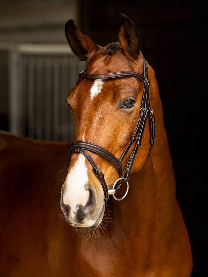 Arika Flash Bridle