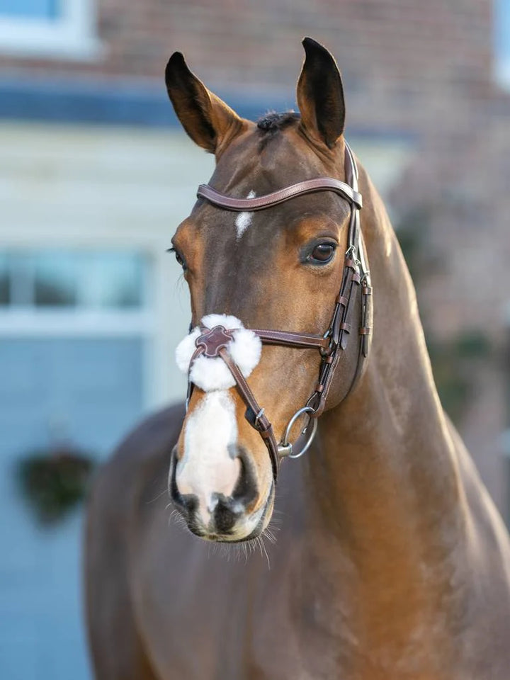 Arika Grackle Bridle