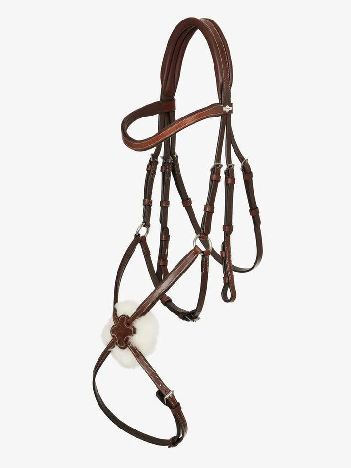 Arika Grackle Bridle