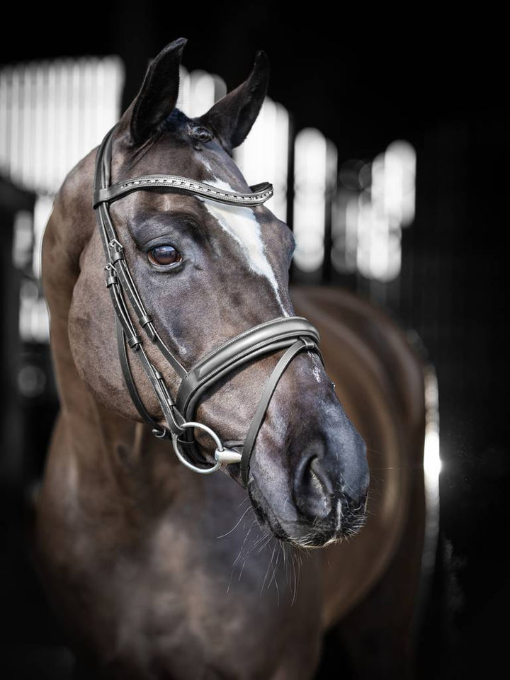 Arika Dressage Bridle