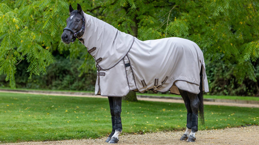 Kudos Field Rug