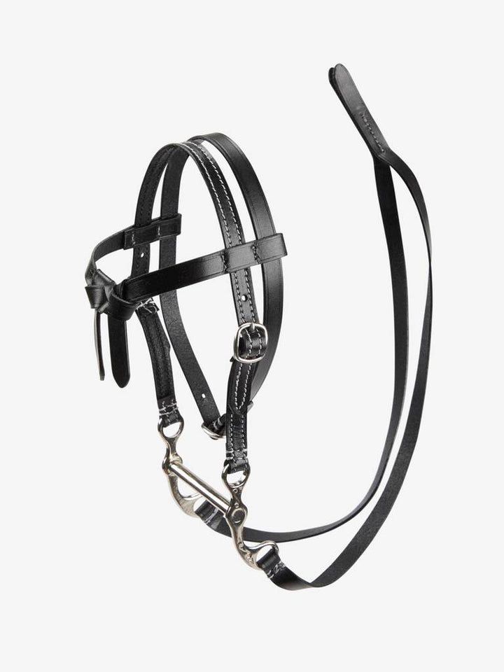 Hobby Horse Western Bridle