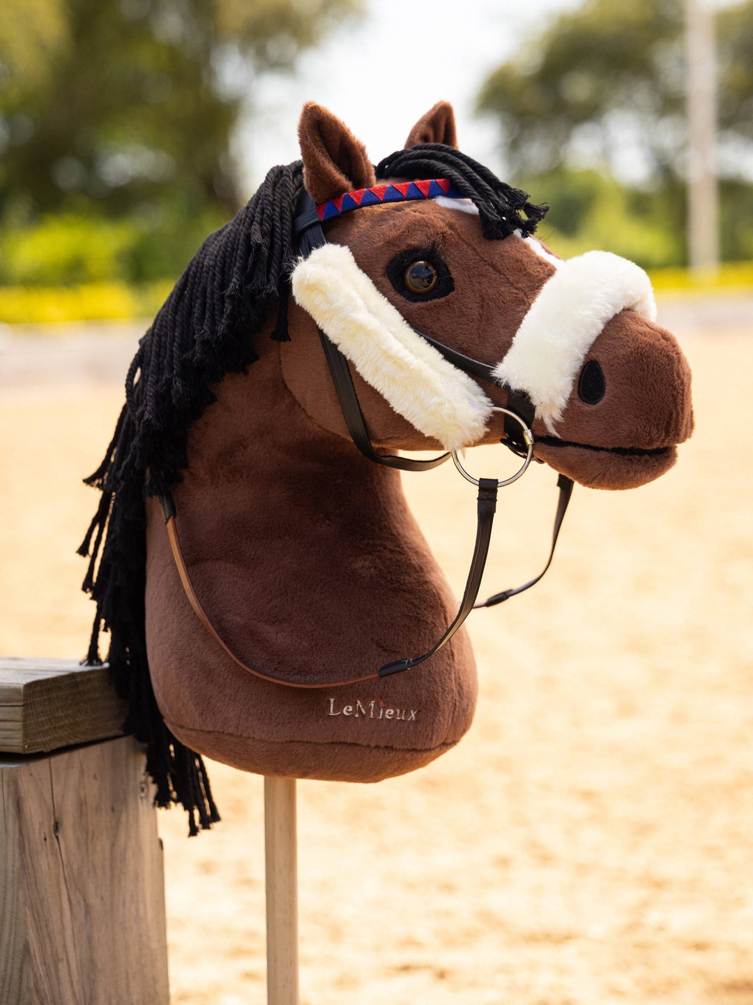 Hobby Horse
