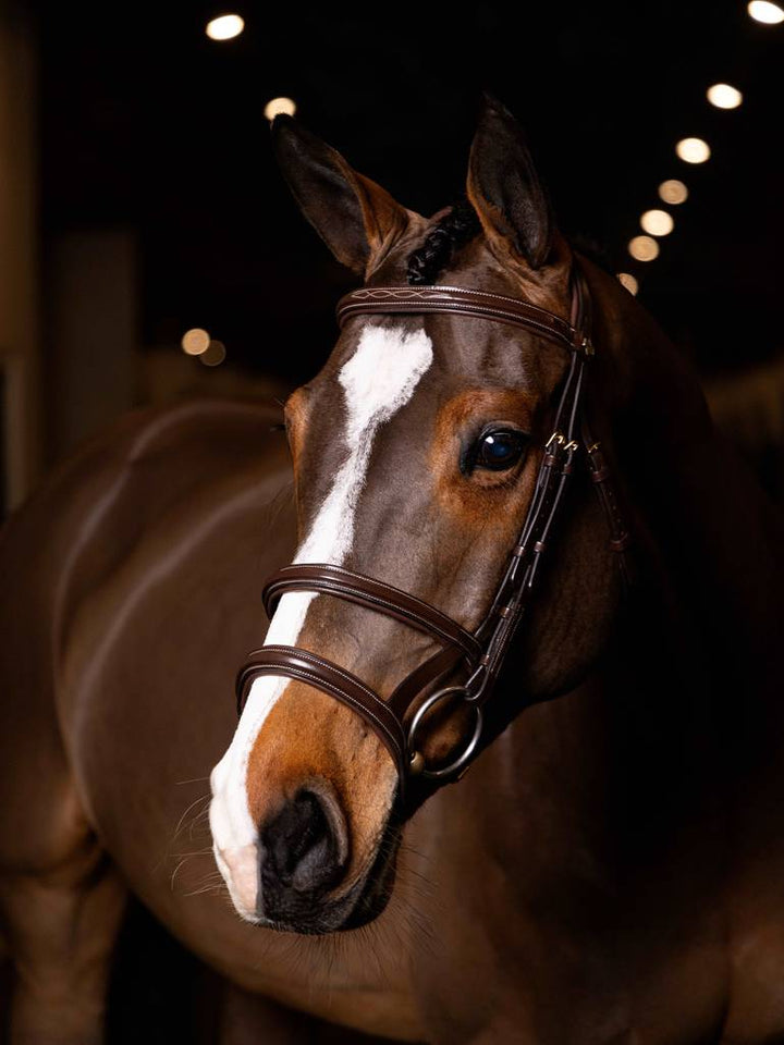 Kudos Double Noseband Bridle