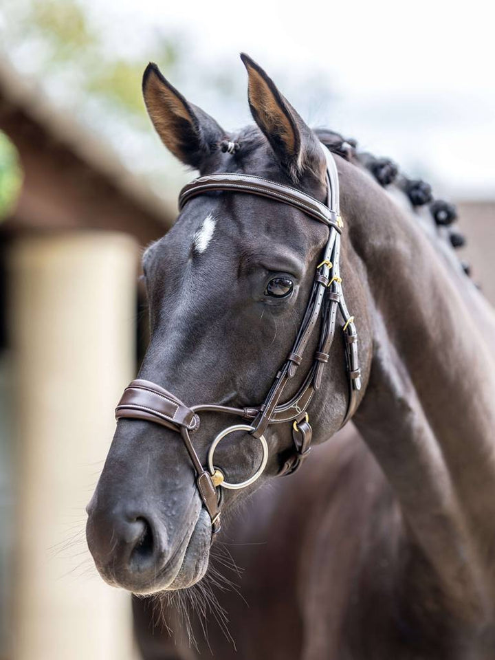 Kudos Clear Arc Bridle