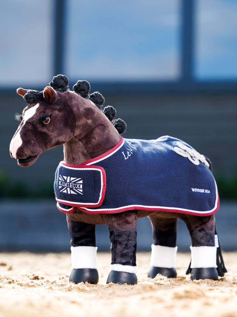 Toy Pony Winner&