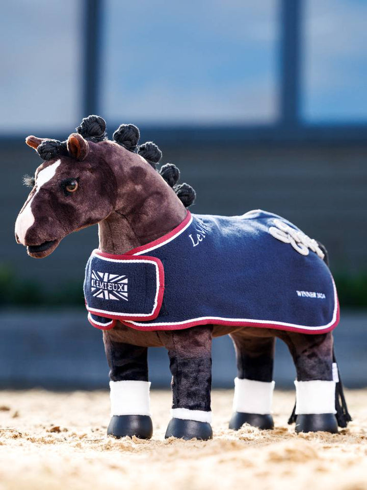 Toy Pony Winner&