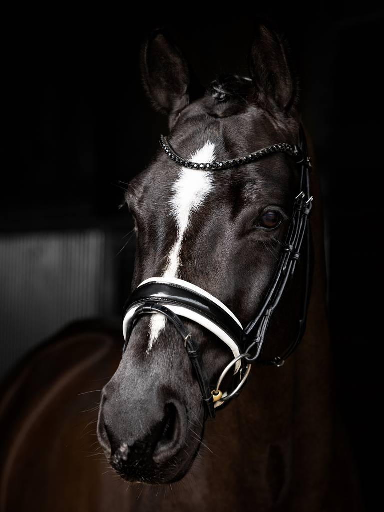 Kudos Patent Dressage Bridle