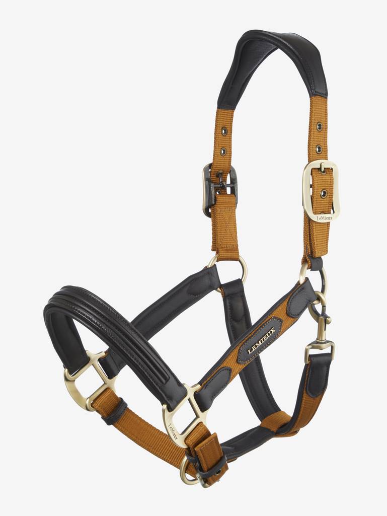 Capella Headcollar