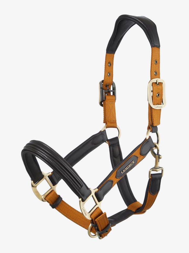 Capella Headcollar