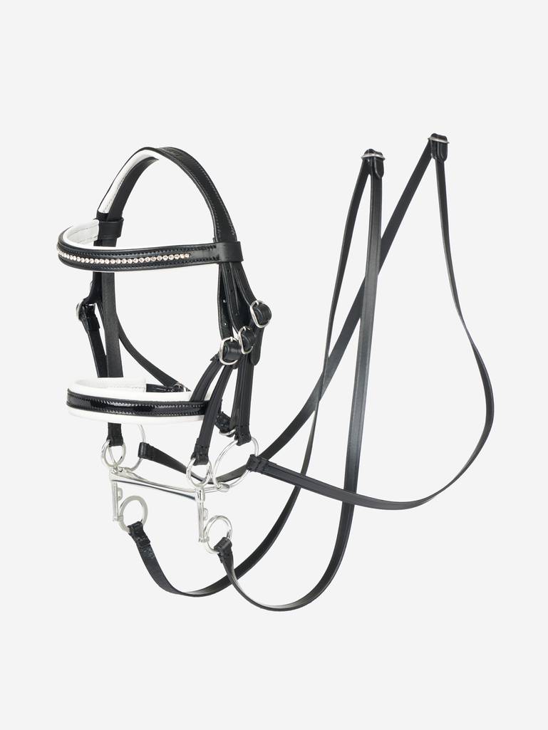 Hobby Horse Double Bridle