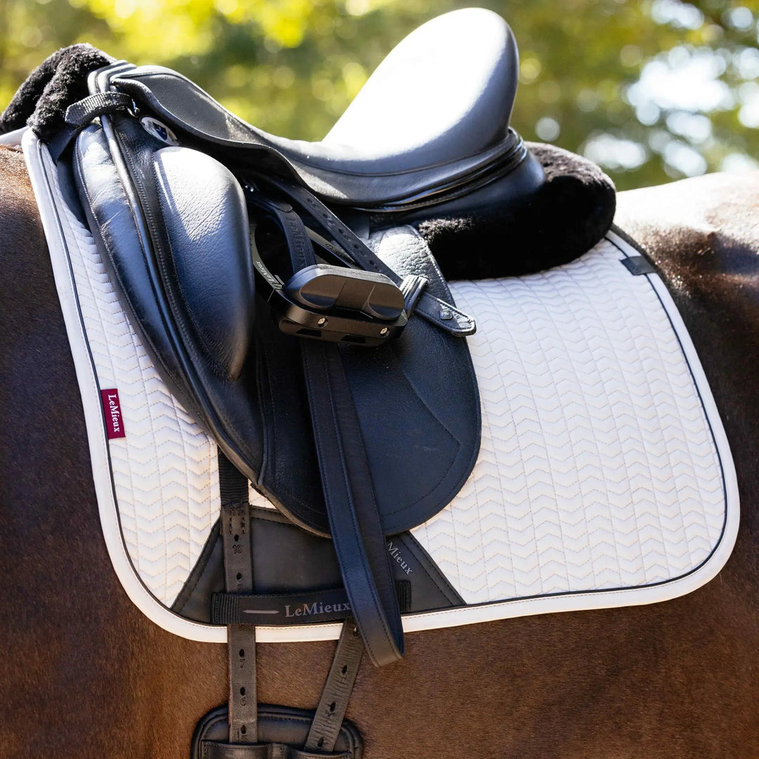 Essence Dressage Square