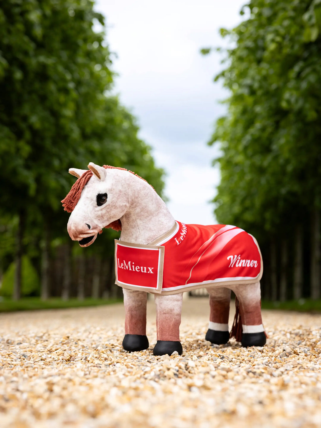 Toy Pony Winner&