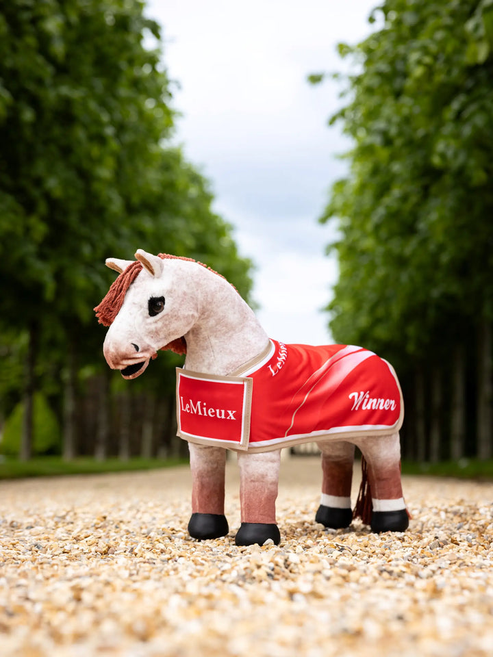 Toy Pony Winner&