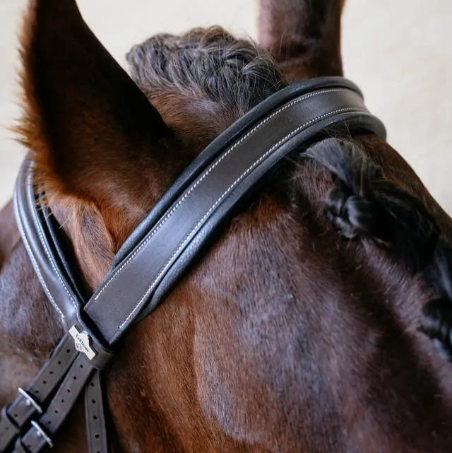 Arika Split Noseband Bridle