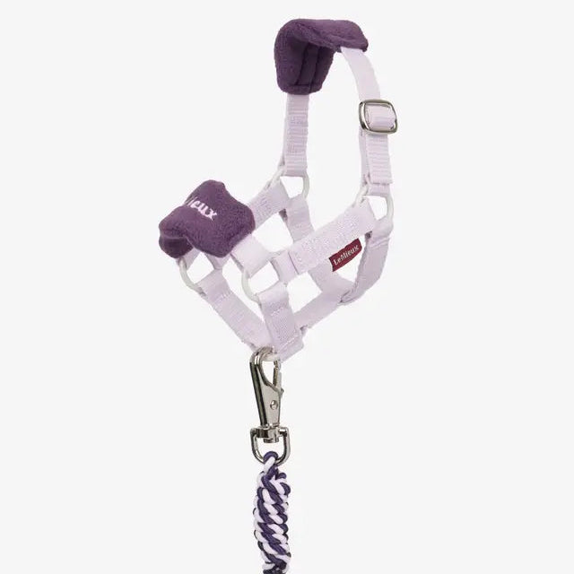 Toy Pony Vogue Headcollar & Lead rope – SHOP. at Spruce Meadows