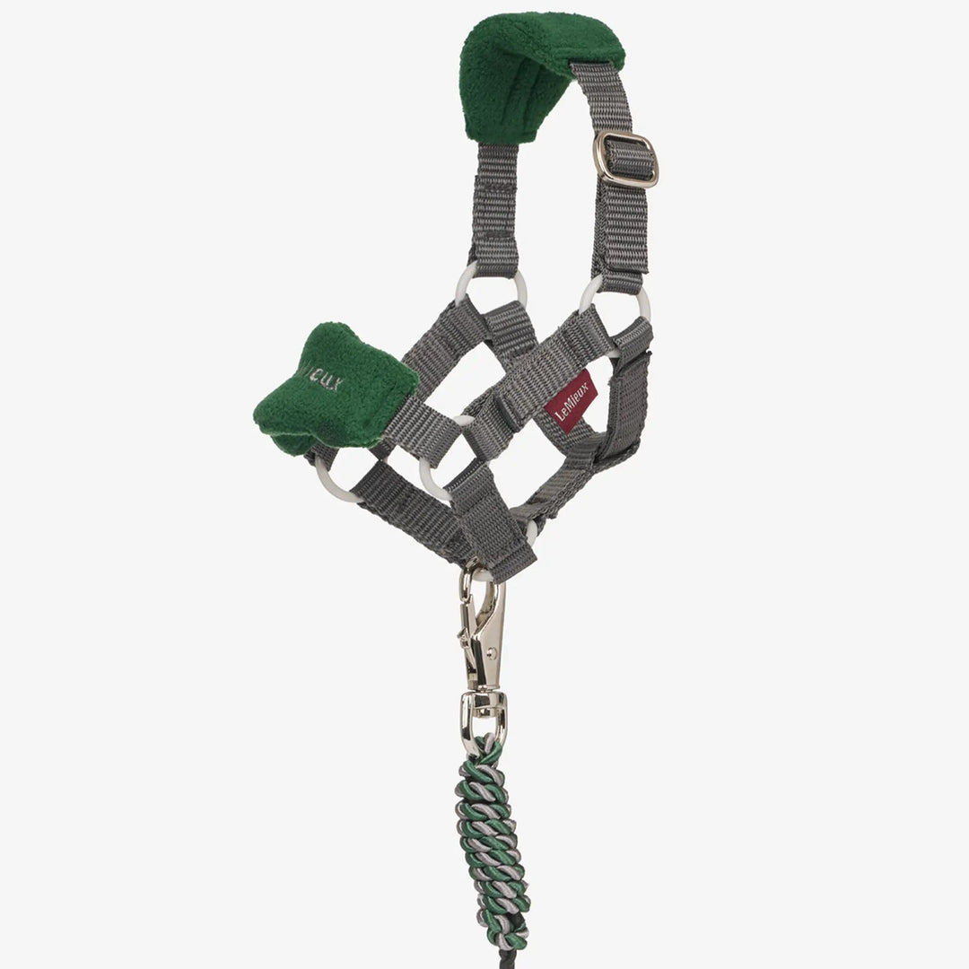 Toy Pony Vogue Headcollar &amp; Lead rope
