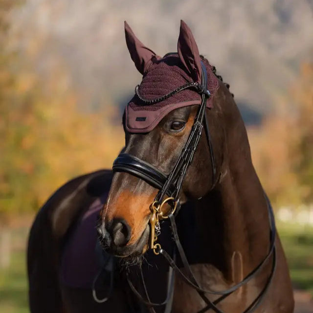 Essence Fly Hood