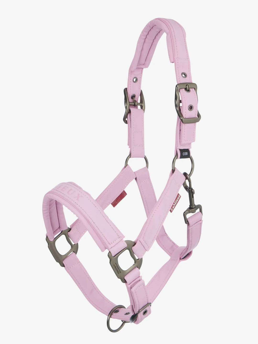 Essence Headcollar