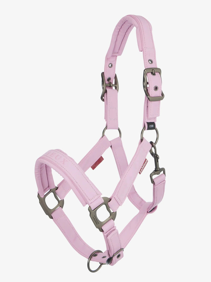 Essence Headcollar